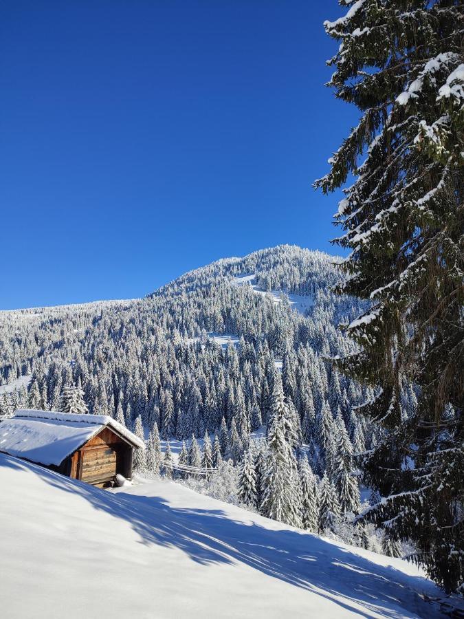 Koliba Marijanovic Villa Andrijevica Exteriör bild