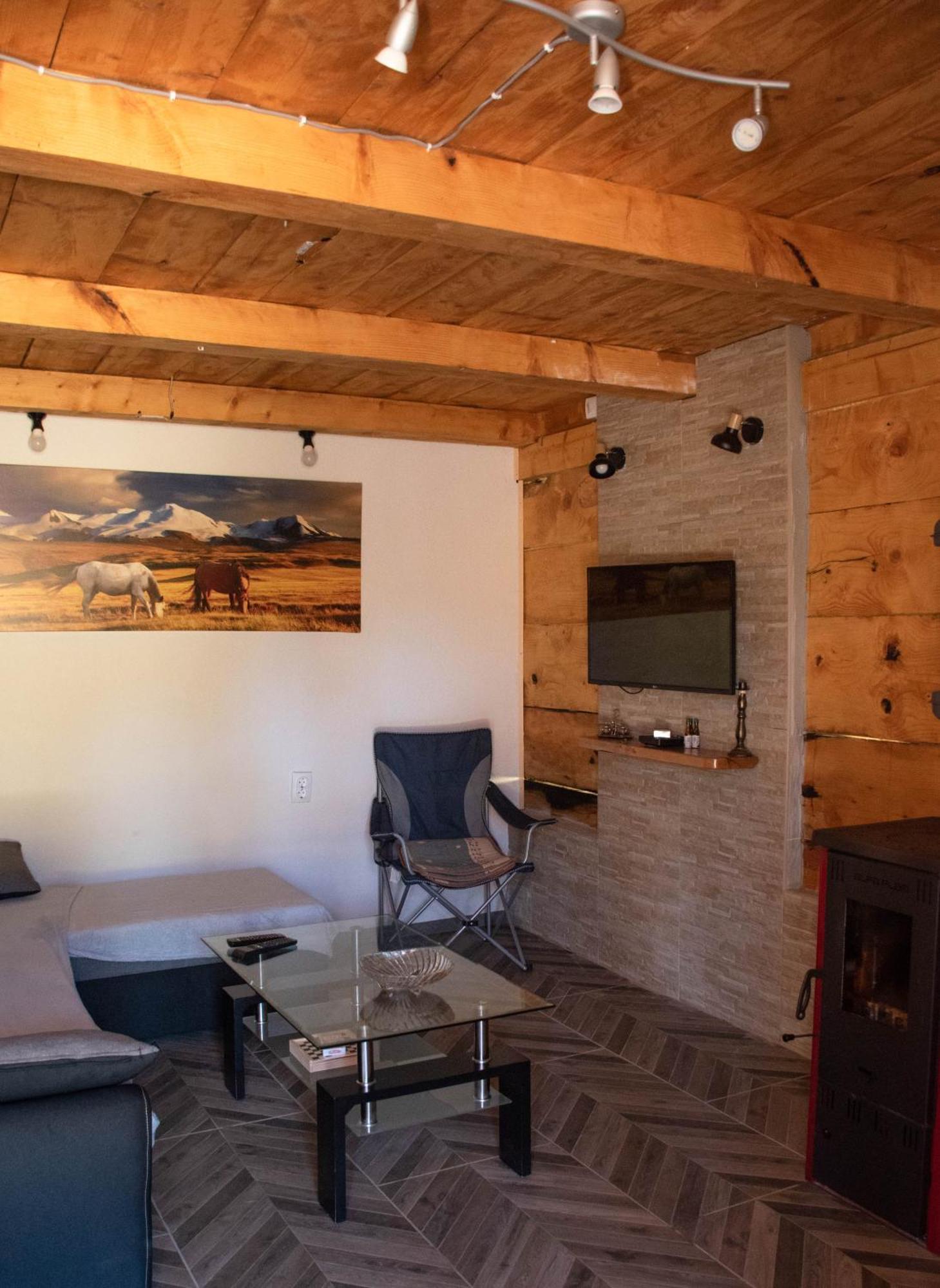 Koliba Marijanovic Villa Andrijevica Rum bild